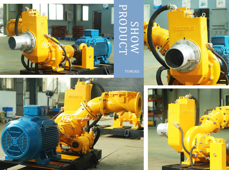 Big Capacity Standard Self Priming Electric Motor Pump