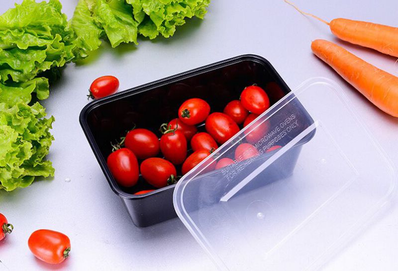 Customized Rectangular 2-Compartment Plastic Microwave Food Container