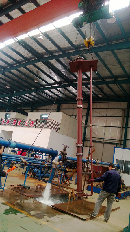 Vertical Long Shaft Submerged Sewage Centrifugal Water Pump