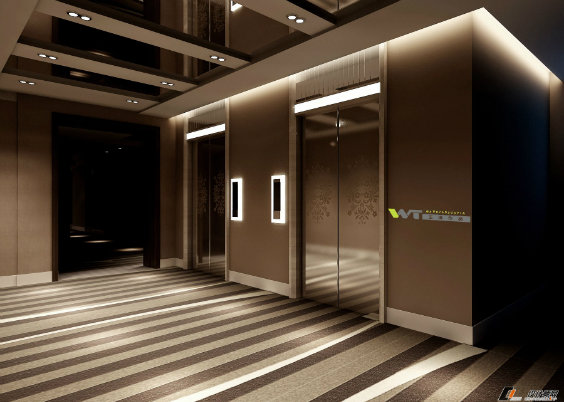 Good Quality Passenger Elevator with Competitive Price Machine-Room-Less Low Noise