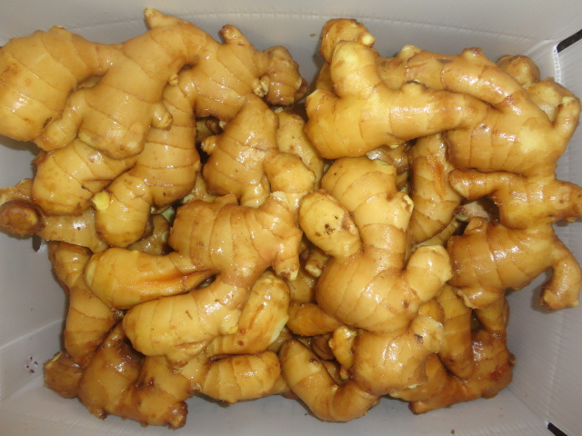 New Crop Fresh Ginger 2015 for Sale