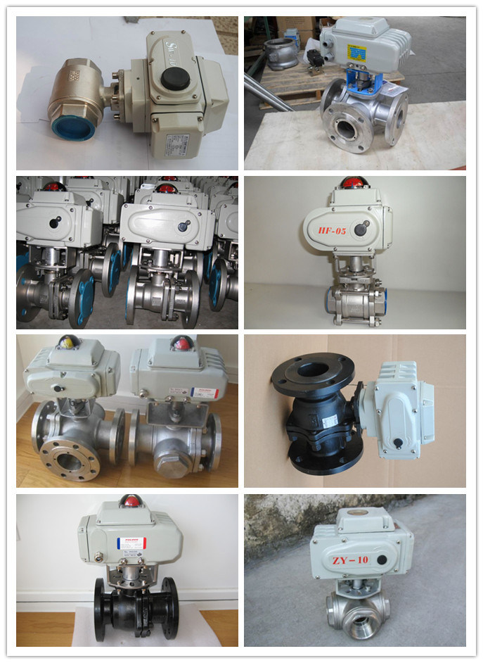 Motorized 3-Piece 316 Ball Valve with Electric Actuator