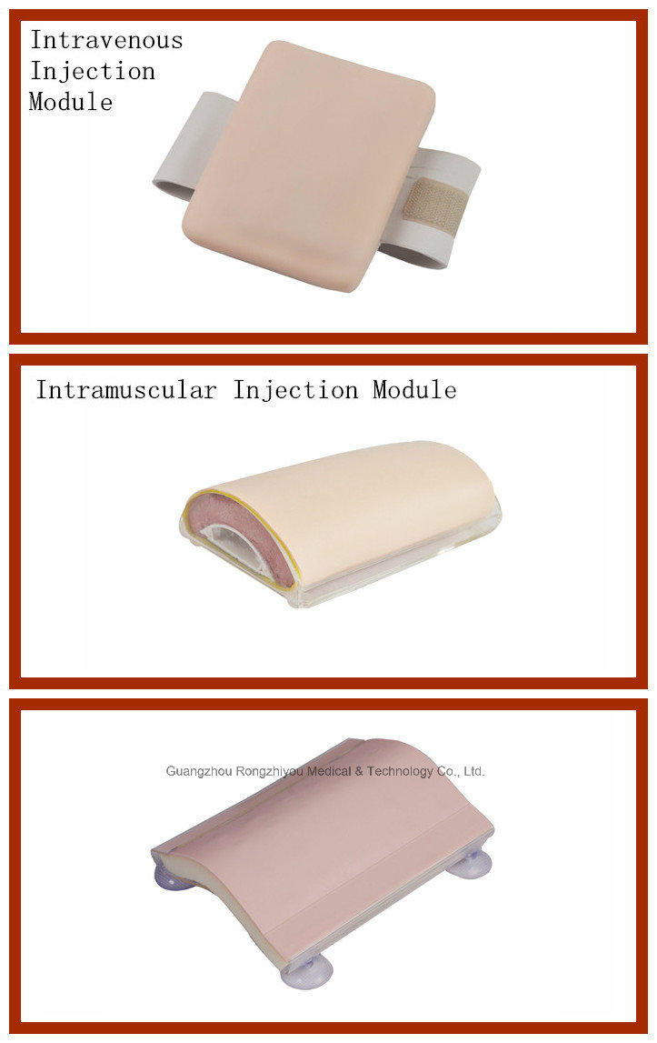 Simplified Intramuscular Injection Training Pad Model