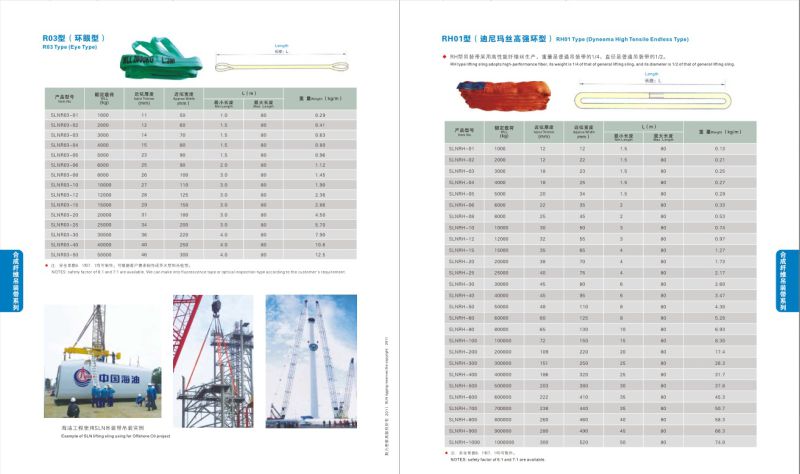 Heavey Duty Round Sling Sf 5: 1 6: 1 7: 1 100% Polyester Lifting Sling