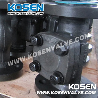 Flanged Ends Check Valve (H41W)