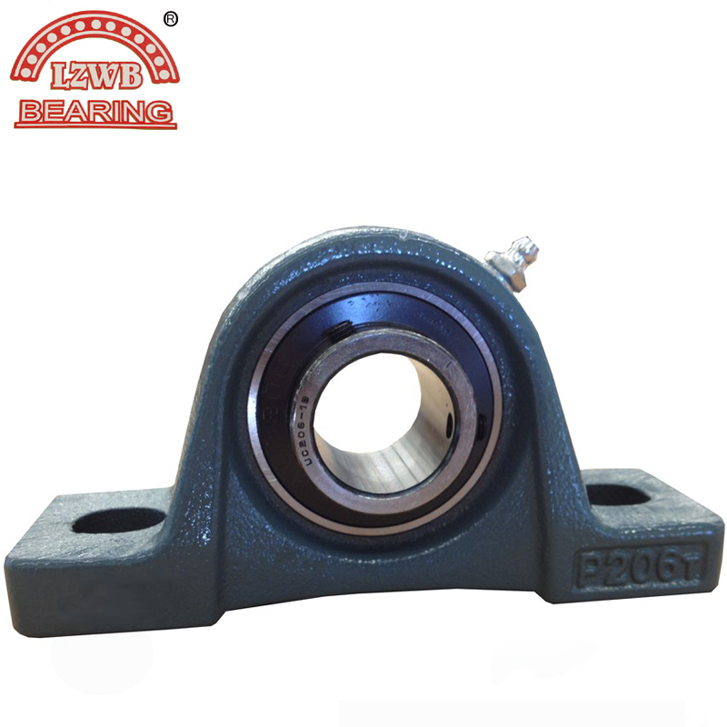 Hot Sale Pillow Block Bearing with High Quality (UCP207)