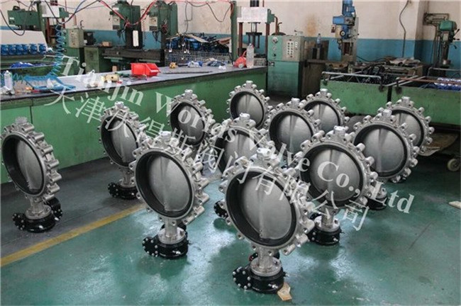 Ss316L Lug Type Control Butterfly Valve (D7L1X-10/16)