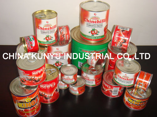 Canned Tomato Paste 198g with High Quality