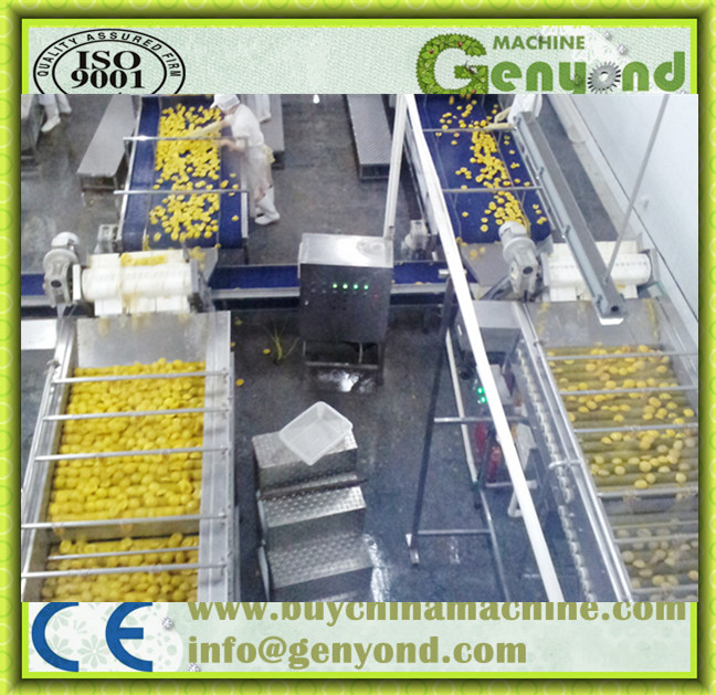 Full Automatic Stainless Steel Canned Food Machinery