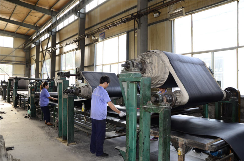Professional Manufacture of Conveyor Belt