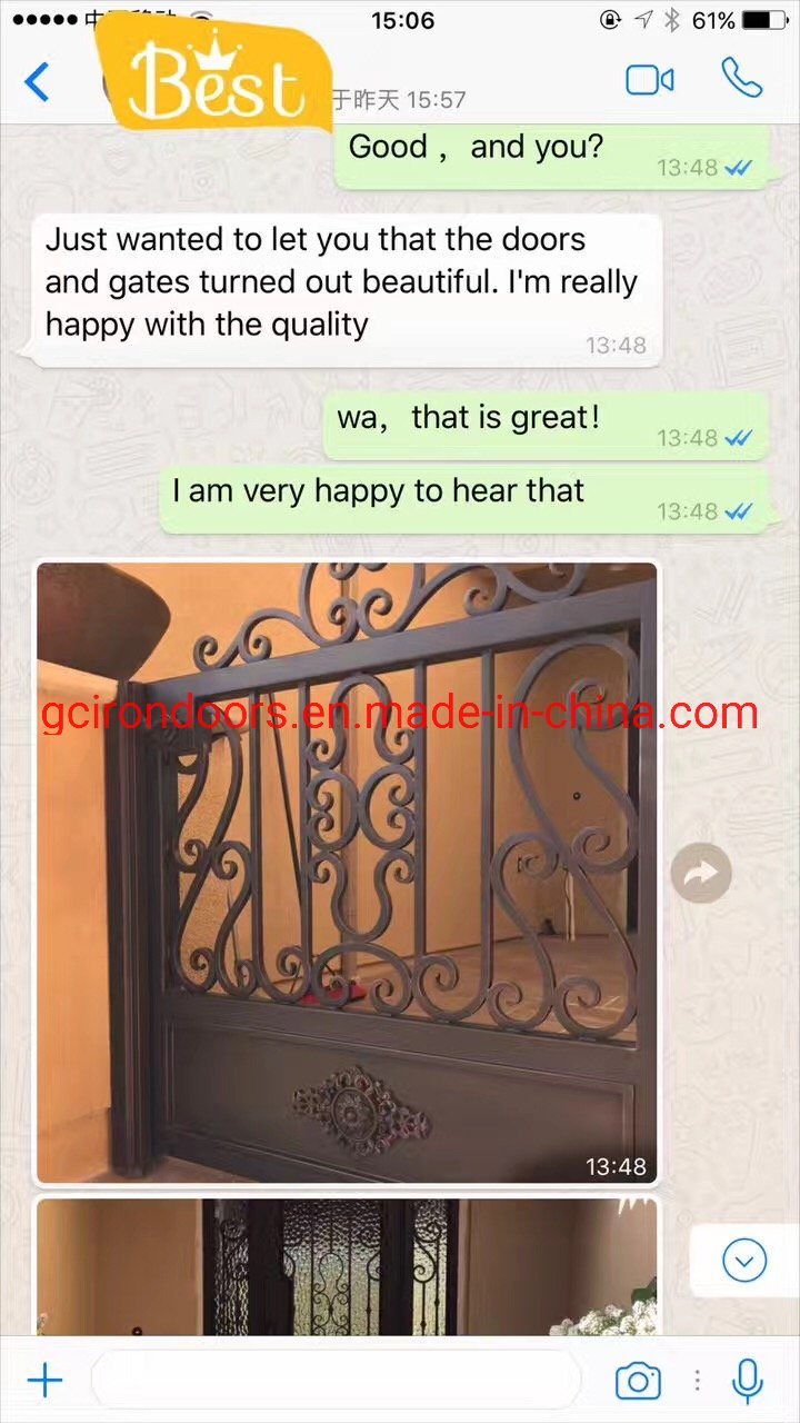 Hot Sale Home and Garden Iron Fence Panel