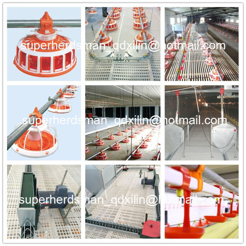 Full Set Automatic Poultry Farming Equipment for Breeder House