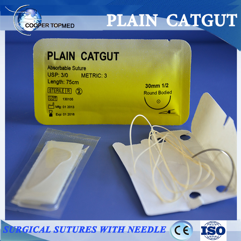 Surgical Suture with Needle