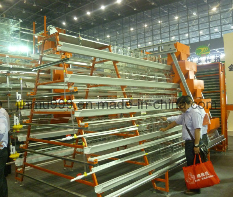 Poultry Farm Chicken Cage for Chicken House