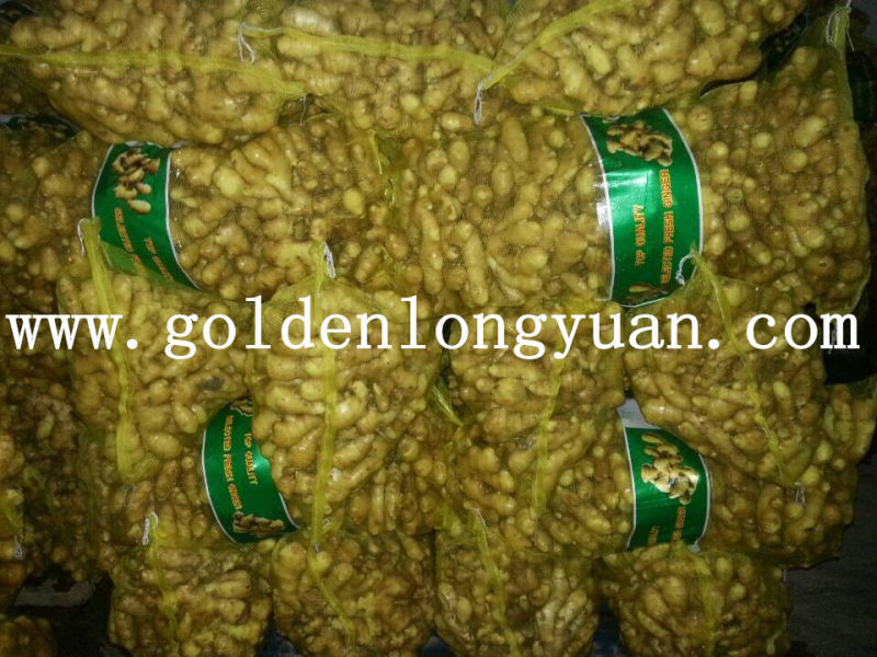 Godlen Supplier Air Dry Ginger, Fresh Ginger