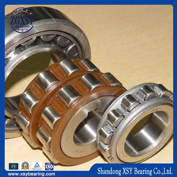 Doule-Row Cylindrical Roller Bearing