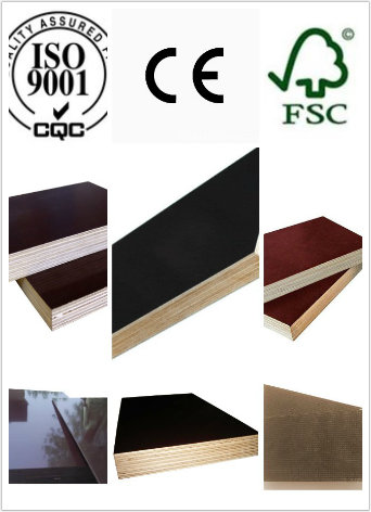 Top Grade Film Faced Plywood (18mm)