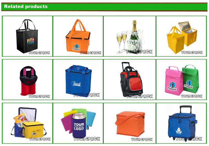 Custom Logo Printed Reusable Non-Woven Large Tote Insulated Bag