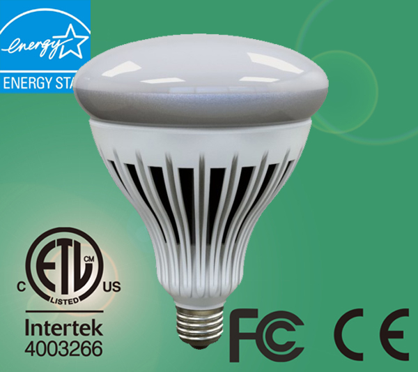 20W High Lumen LED R40 Light Bulb