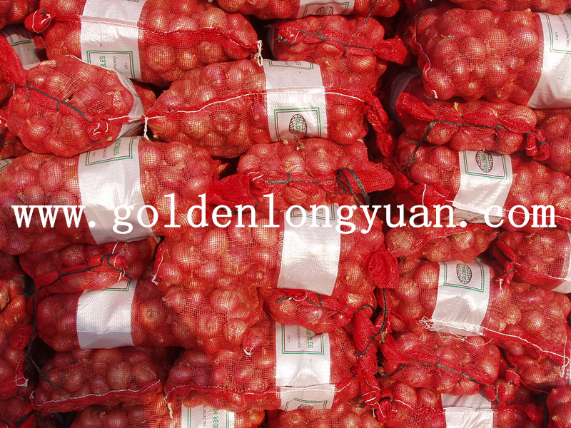 High Quality Fresh Red Onion From Factory