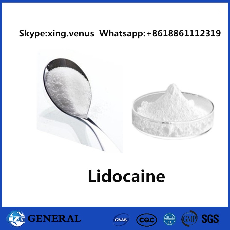Best Selling 99% Lidocaine 73-78-9 Lidocaine