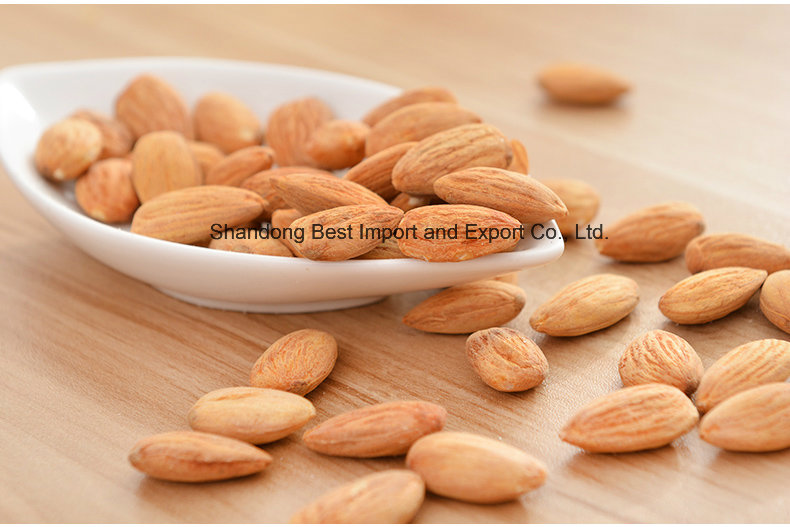 2016 Dried Raw Sweet Almond