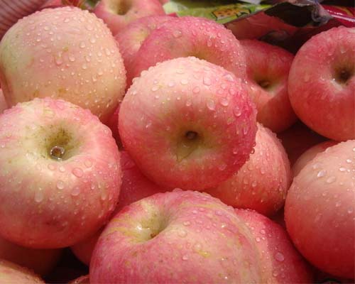 Chinese Fresh FUJI Apple for Exporting