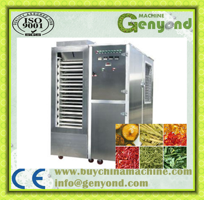 Drying Machine/Industrial Fruit Dehydrator