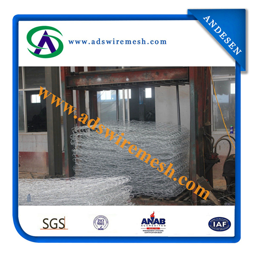 Gebion Box/ Chicken Wire Mesh/ Hexagonal Wire Mesh