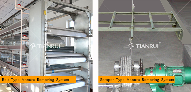 Conveyor Belt Broiler Poultry Manure Ordure Cleaning System