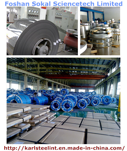 Professional Stainless Steel Coil with High Quality Cold Rolled