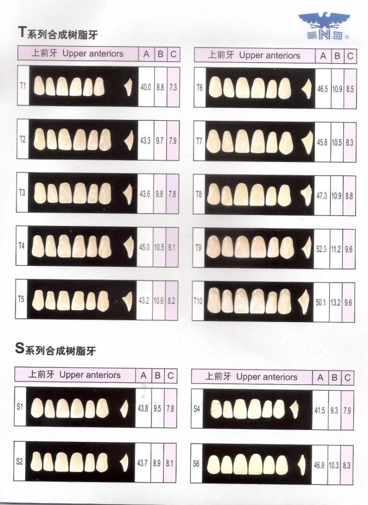 R201 Two Layer Synthetic Resin Teeth