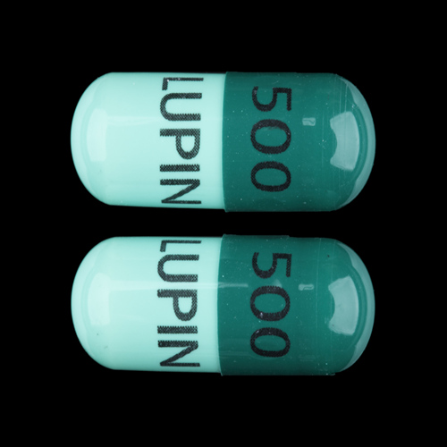 125mg/250mg 500mg Cephalexin Capsule