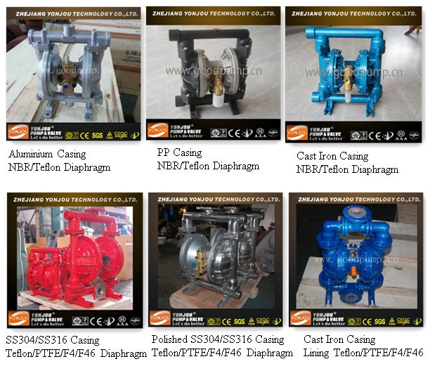 Qby Cast Iron Diaphragm Pump with Teflon Diaphragms