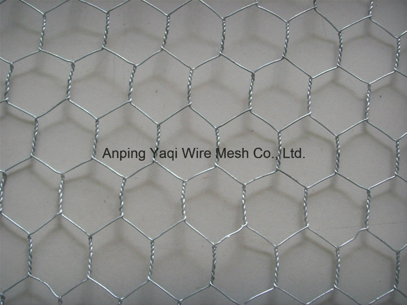 Anping Factory Galvanized Hexagonal Wire Netting with Lower Price