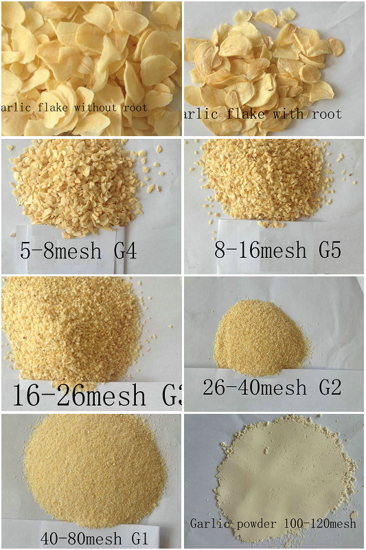 Garlic Flake Without Root Top Qualtiy