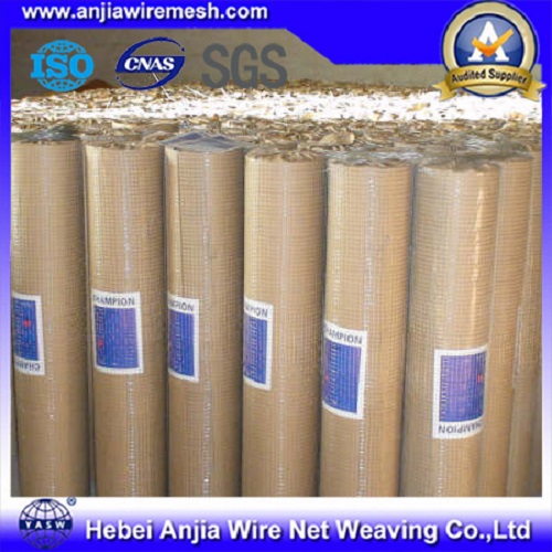 Low Price Electro Galvanized Welded Wire Mesh with (CE and SGS)