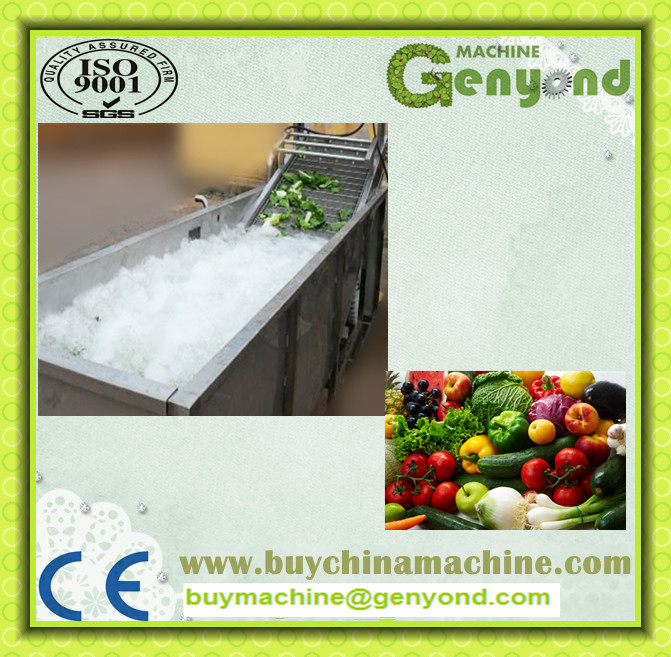 Automatic Washing Machine for Vegetable Processing