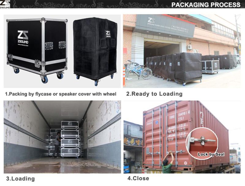 Touring Performance Professional Line Array System