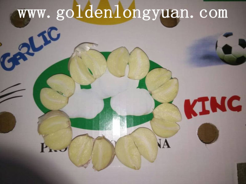 Fresh Garlic From Jinxiang Professional Factory