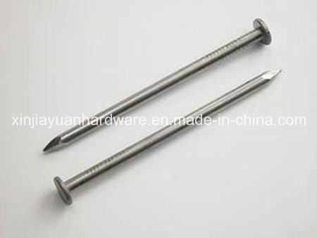 Polished and Galvanized Common Iron Nail