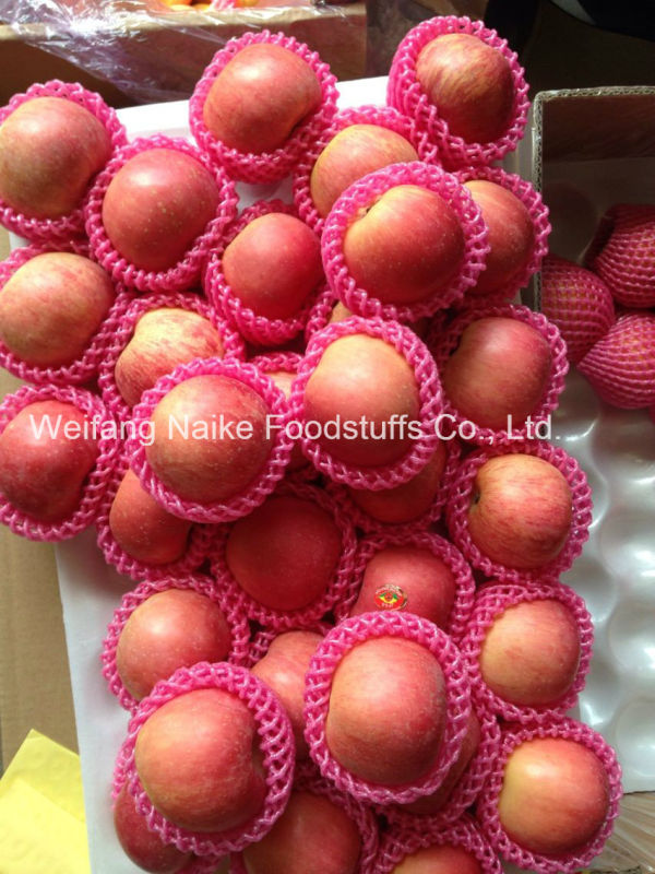 New Crop Fresh Apple/ Chines Fruits of High Quality