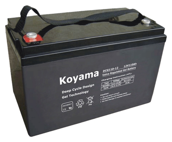 6V225ah-Golf Cart Battery for Golf/Utility/Neighborhood Electric Vehicle (NEV) (NPCG225-6)