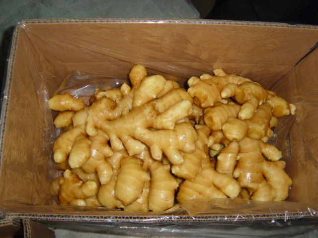 Big New Corp Fresh Ginger (200g and up)