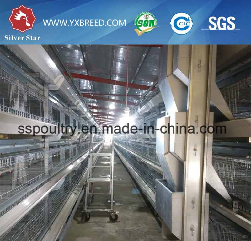 Poultry Hen Cage for Hot Sale