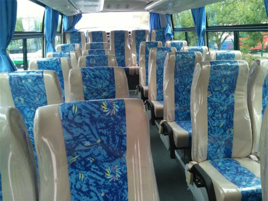 High Quality LHD Rhd Mini Bus with 20-25 Seats