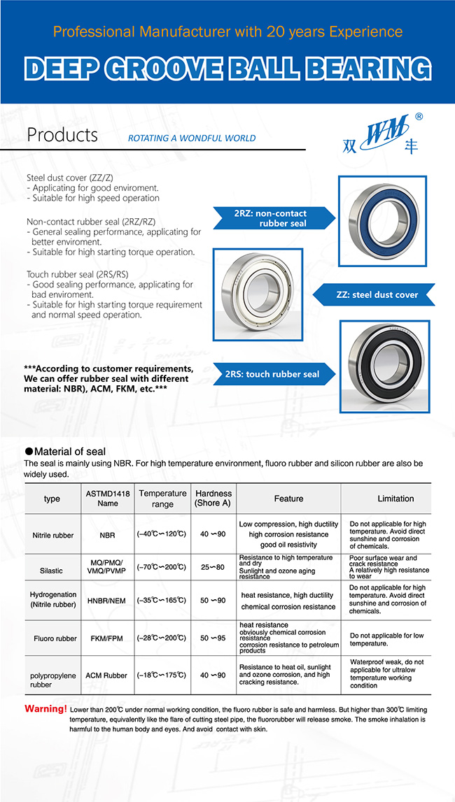 6303 Zz 2RS Emq Electric Motor Deep Groove Ball Bearing