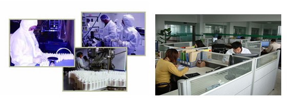 High Purity Factory Supplying Peptide Peg Mgf