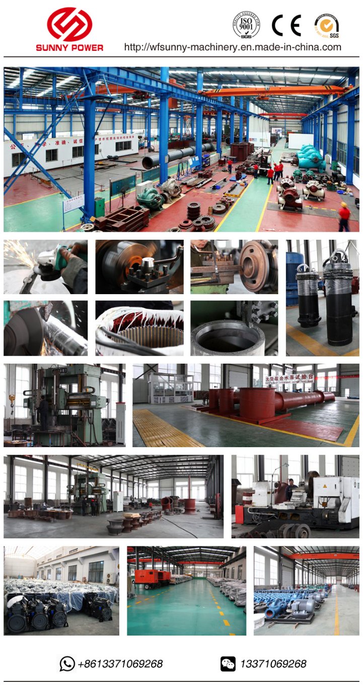 China Made Diesel Water Pump for Agriculture and Mining Use