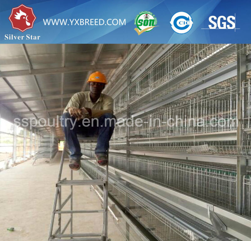 Automaticlly Battery Layer Cage